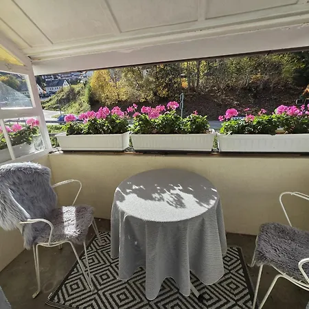 Haus Barbara Ott * St. Blasien