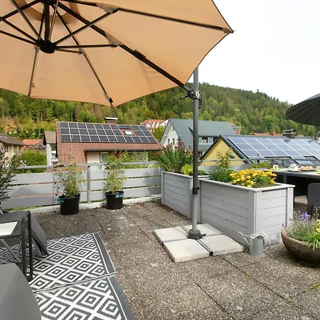 Appartement Haus Barbara Ott St. Blasien