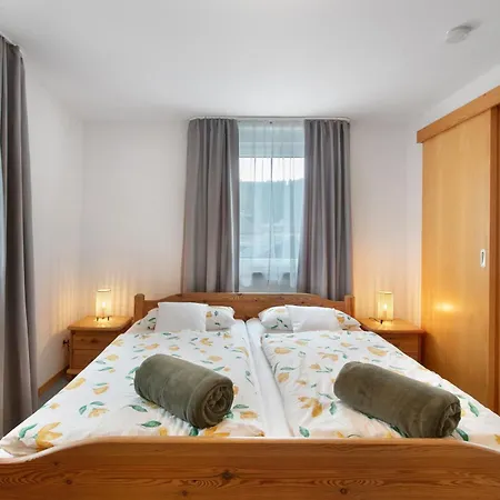 Haus Barbara Ott Appartement St. Blasien